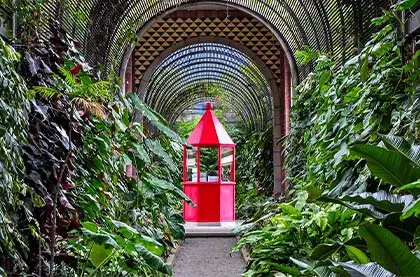 Jardín Botánico
